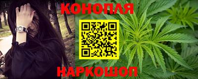 МДПВ Пушкино