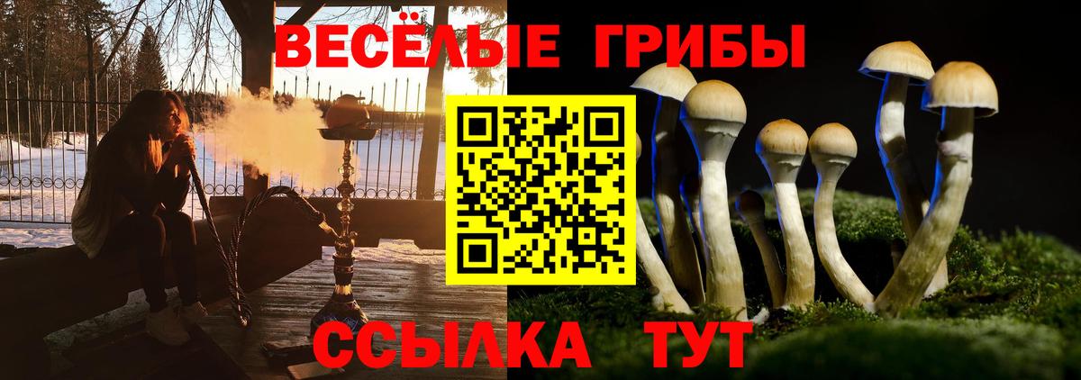Псилоцибиновые грибы мицелий Сочи