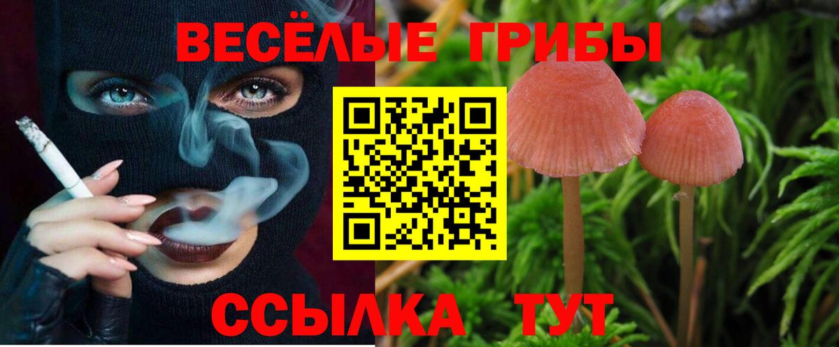 Галлюциногенные грибы Сочи