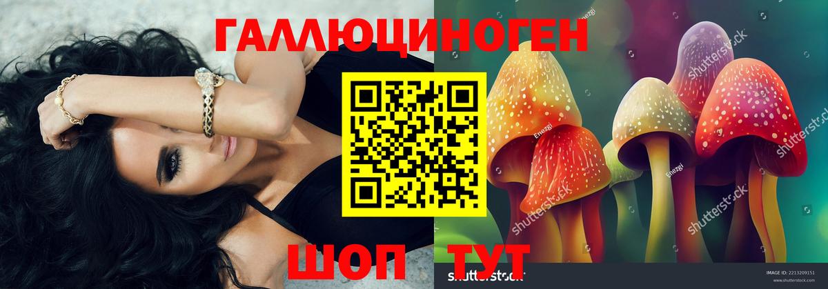 Галлюциногенные грибы MAGIC MUSHROOMS  Вход с VPN  Сочи 